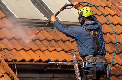 Démoussage et hydrofuge de toiture à la Chapelle-de-Surieu